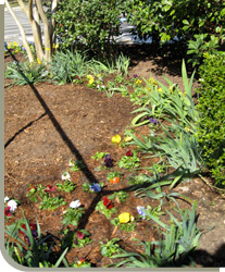 stock photo of a teen girl